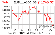 Cena 24 karátového zlata v EUR